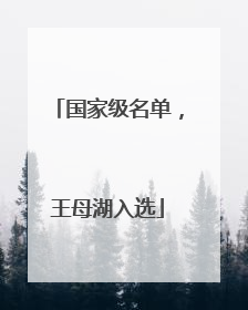 国家级名单，王母湖入选