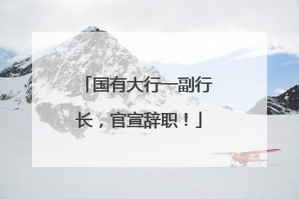 国有大行一副行长，官宣辞职！
