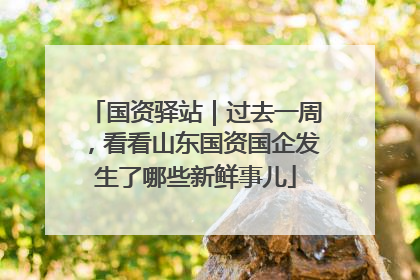 国资驿站｜过去一周，看看山东国资国企发生了哪些新鲜事儿