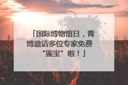 国际博物馆日，青博邀请多位专家免费“鉴宝”啦！