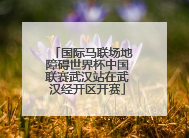 国际马联场地障碍世界杯中国联赛武汉站在武汉经开区开赛