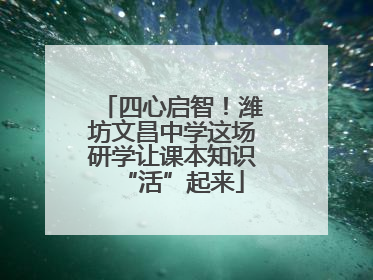 四心启智！潍坊文昌中学这场研学让课本知识“活”起来