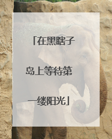 在黑瞎子岛上等待第一缕阳光