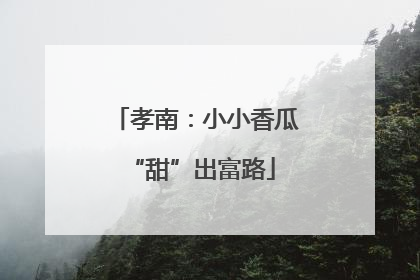 孝南：小小香瓜 “甜”出富路