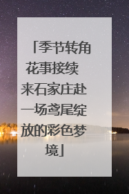 季节转角花事接续 来石家庄赴一场鸢尾绽放的彩色梦境