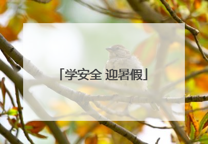 学安全 迎暑假