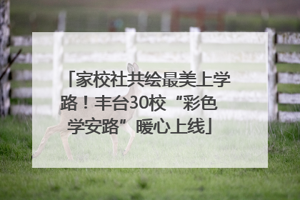 家校社共绘最美上学路！丰台30校“彩色学安路”暖心上线