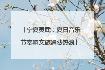 宁夏灵武：夏日音乐节奏响文旅消费热浪