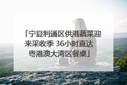 宁夏利通区供港蔬菜迎来采收季 36小时直达粤港澳大湾区餐桌