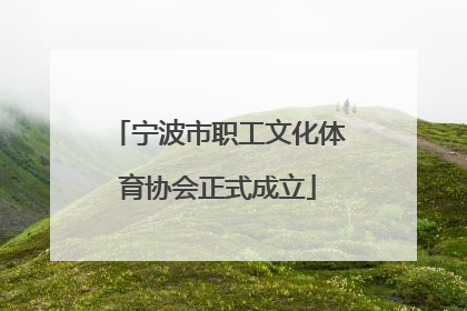 宁波市职工文化体育协会正式成立