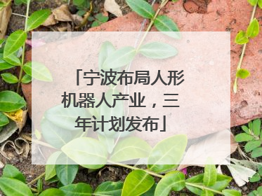 宁波布局人形机器人产业，三年计划发布