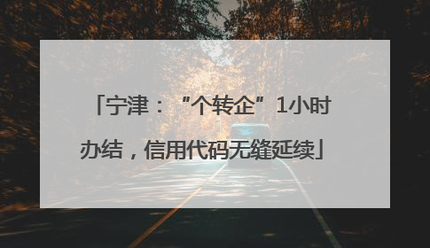 宁津：“个转企”1小时办结，信用代码无缝延续