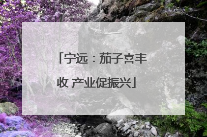 宁远：茄子喜丰收 产业促振兴