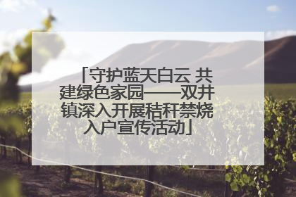 守护蓝天白云 共建绿色家园——双井镇深入开展秸秆禁烧入户宣传活动