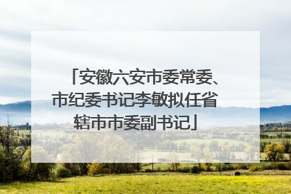 安徽六安市委常委、市纪委书记李敏拟任省辖市市委副书记