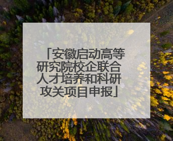 安徽启动高等研究院校企联合人才培养和科研攻关项目申报