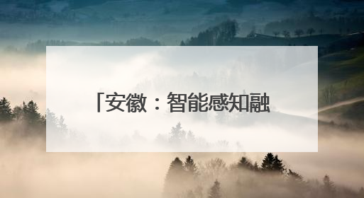 安徽：智能感知融入田间地头 精密监测提升防灾能力｜增发国债气象项目落地见效系列报道