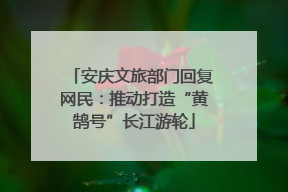 安庆文旅部门回复网民：推动打造“黄鹄号”长江游轮