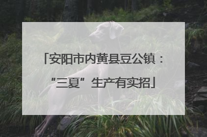 安阳市内黄县豆公镇：“三夏”生产有实招