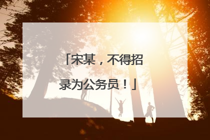 宋某，不得招录为公务员！