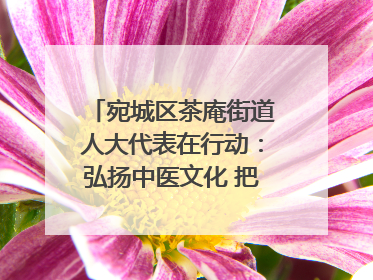 宛城区茶庵街道人大代表在行动：弘扬中医文化 把脉基层健康