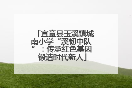 宜章县玉溪镇城南小学“溪韧中队”：传承红色基因 锻造时代新人