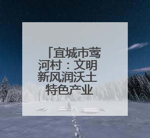 宜城市莺河村：文明新风润沃土 特色产业富农家