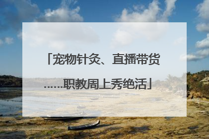 宠物针灸、直播带货……职教周上秀绝活