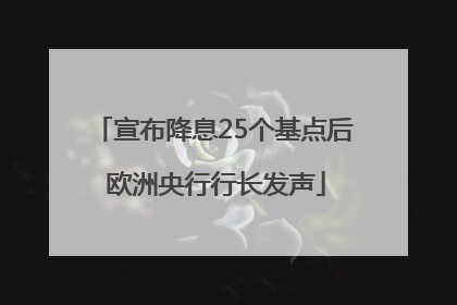 宣布降息25个基点后 欧洲央行行长发声