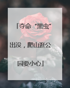 夺命“黑虫”出没，爬山逛公园要小心