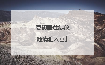夏初睡莲绽放 一池清雅入画