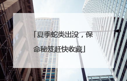 夏季蛇类出没，保命秘笈赶快收藏