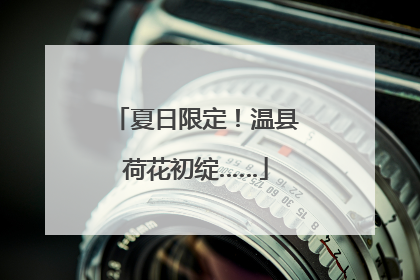 夏日限定！温县荷花初绽……