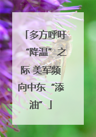 多方呼吁“降温”之际 美军频向中东“添油”