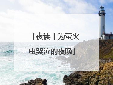 夜读丨为萤火虫哭泣的夜晚