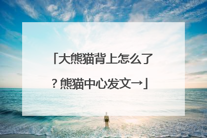大熊猫背上怎么了？熊猫中心发文→