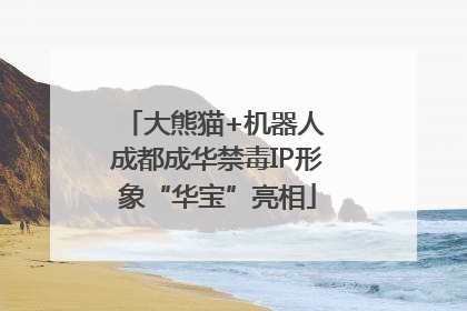 大熊猫+机器人 成都成华禁毒IP形象“华宝”亮相