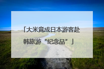 大米竟成日本游客赴韩旅游“纪念品”