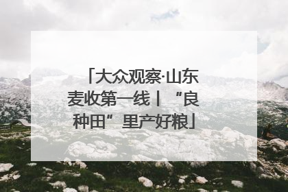 大众观察·山东麦收第一线丨“良种田”里产好粮