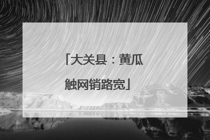 大关县：黄瓜触网销路宽