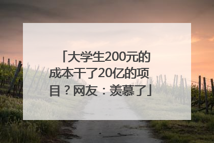 大学生200元的成本干了20亿的项目？网友：羡慕了