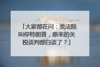 大家都在问：美法院叫停特朗普，原来的关税谈判都白谈了？