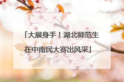 大展身手！湖北师范生在中南民大赛出风采