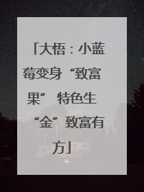 大悟：小蓝莓变身“致富果” 特色生“金”致富有方