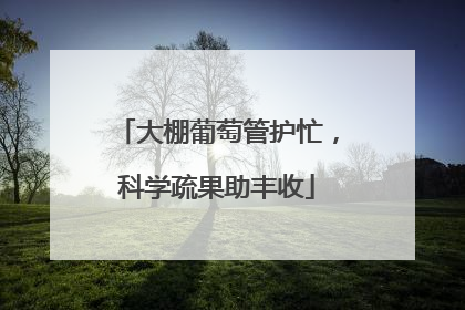 大棚葡萄管护忙，科学疏果助丰收