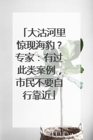 大沽河里惊现海豹？专家：有过此类案例，市民不要自行靠近