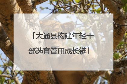大通县构建年轻干部选育管用成长链