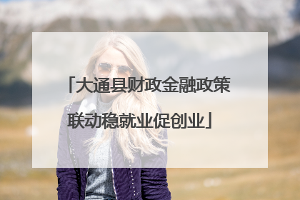 大通县财政金融政策联动稳就业促创业