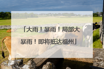 大雨！暴雨！局部大暴雨！即将抵达福州