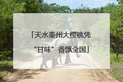 天水秦州大樱桃凭“甘味”香飘全国